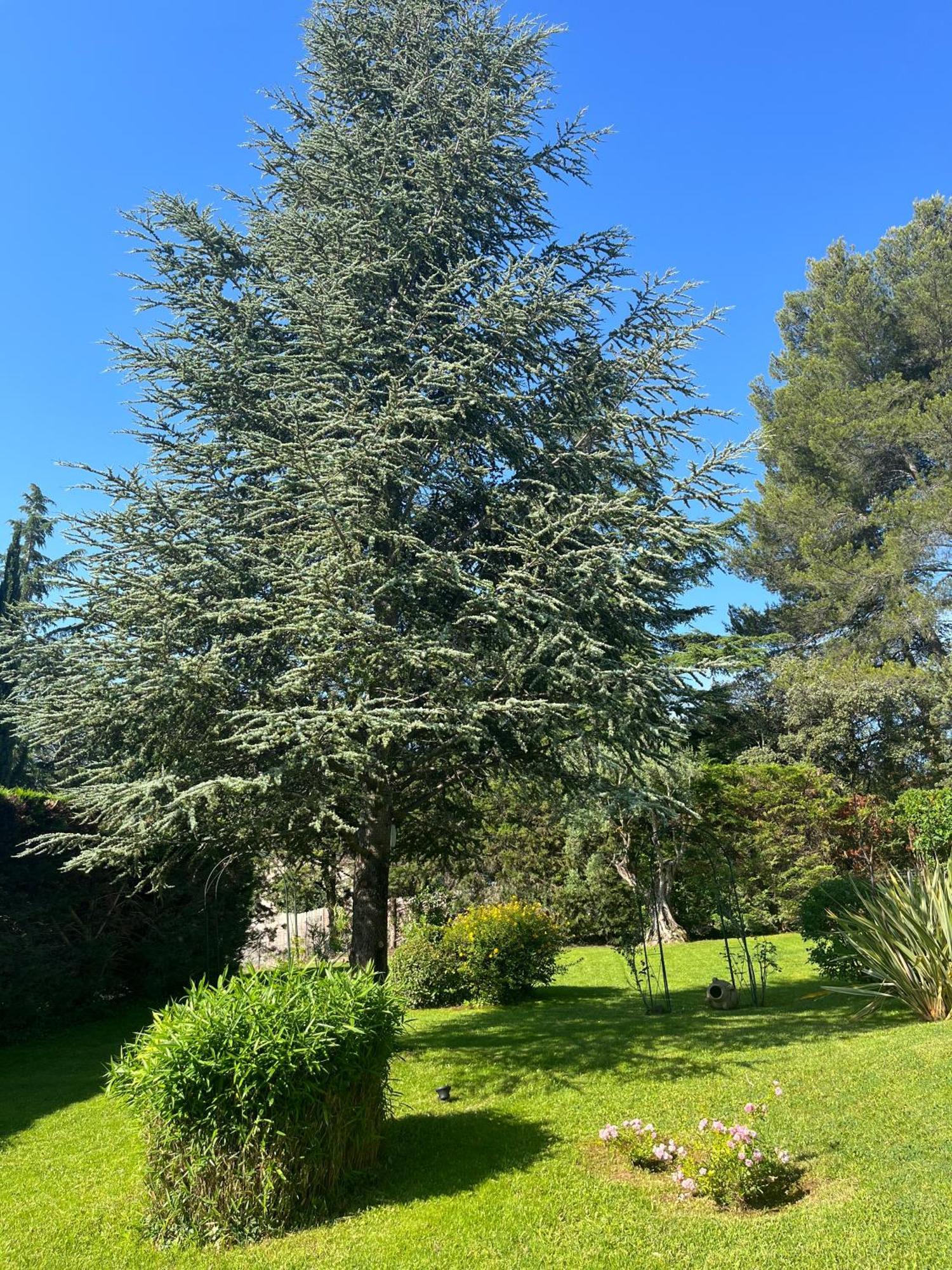 Le Clos Serein Le Beausset Exterior photo